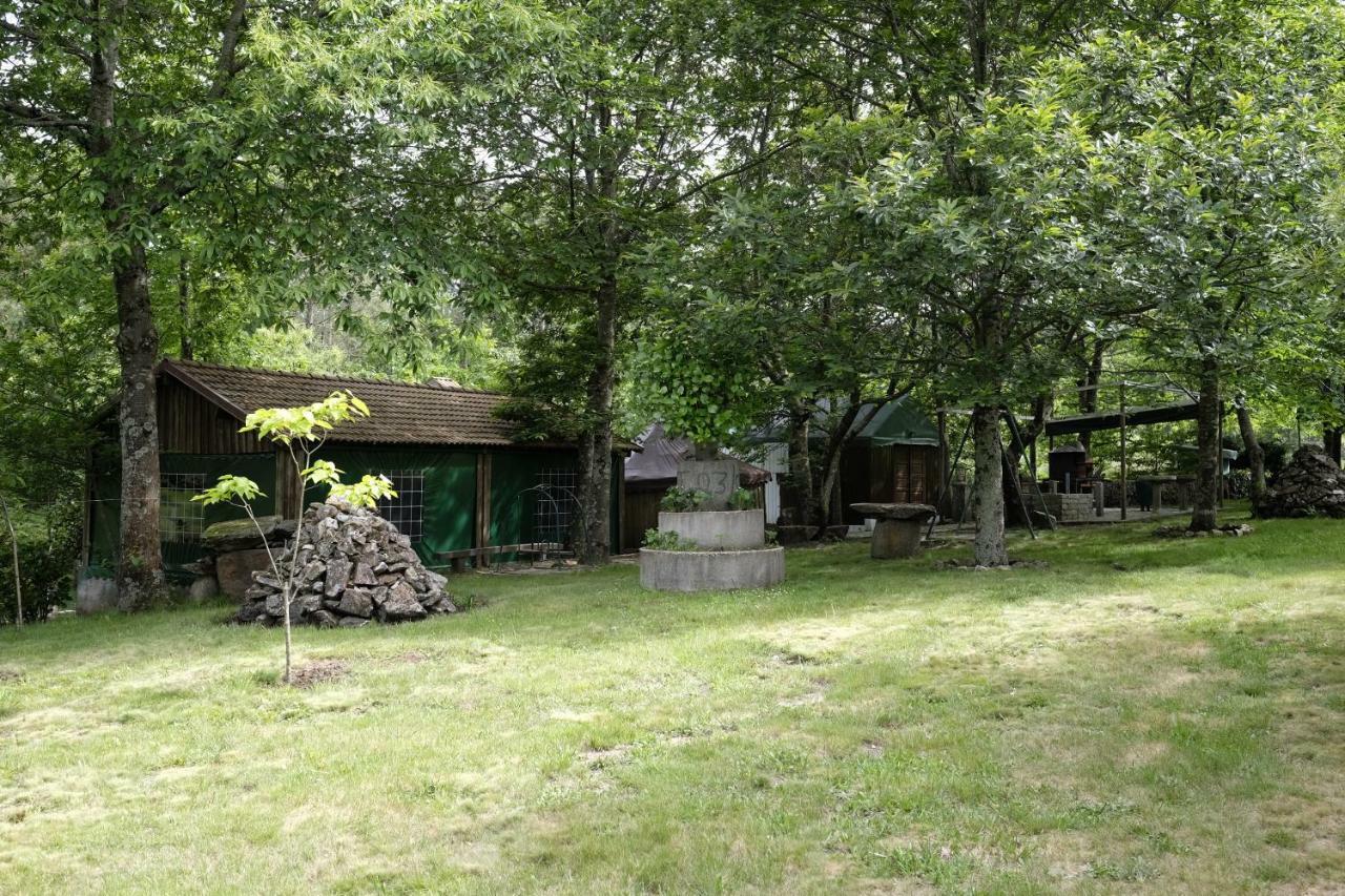 Casa Do Aido De Cima Villa Vale de Cambra Ngoại thất bức ảnh