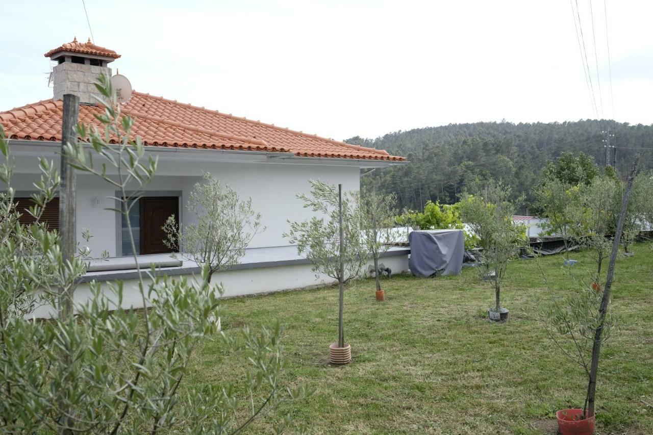 Casa Do Aido De Cima Villa Vale de Cambra Ngoại thất bức ảnh